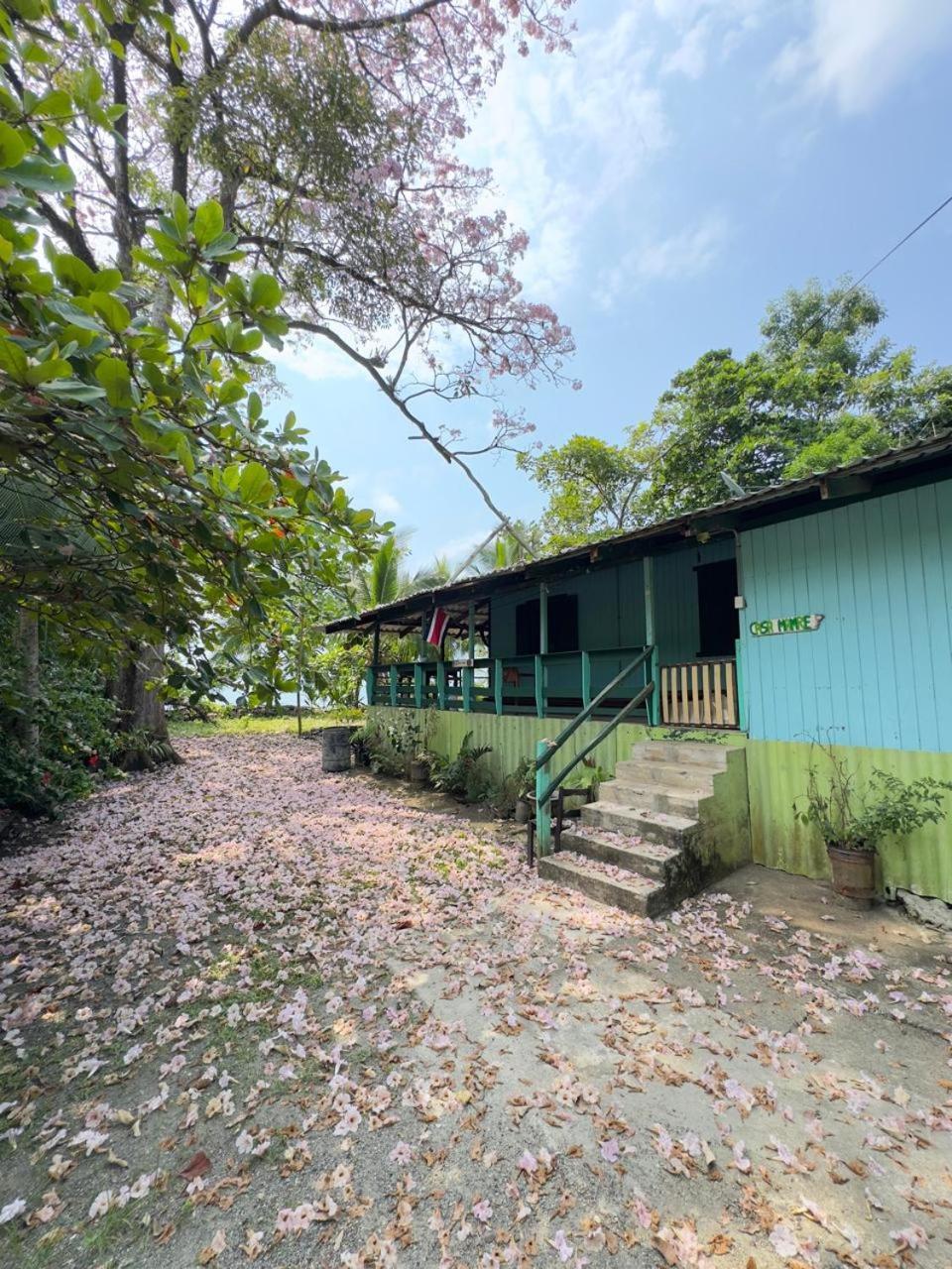 Hostel Casa Mamre Cahuita Exterior foto